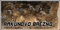 RAKUNOVO BREZNO